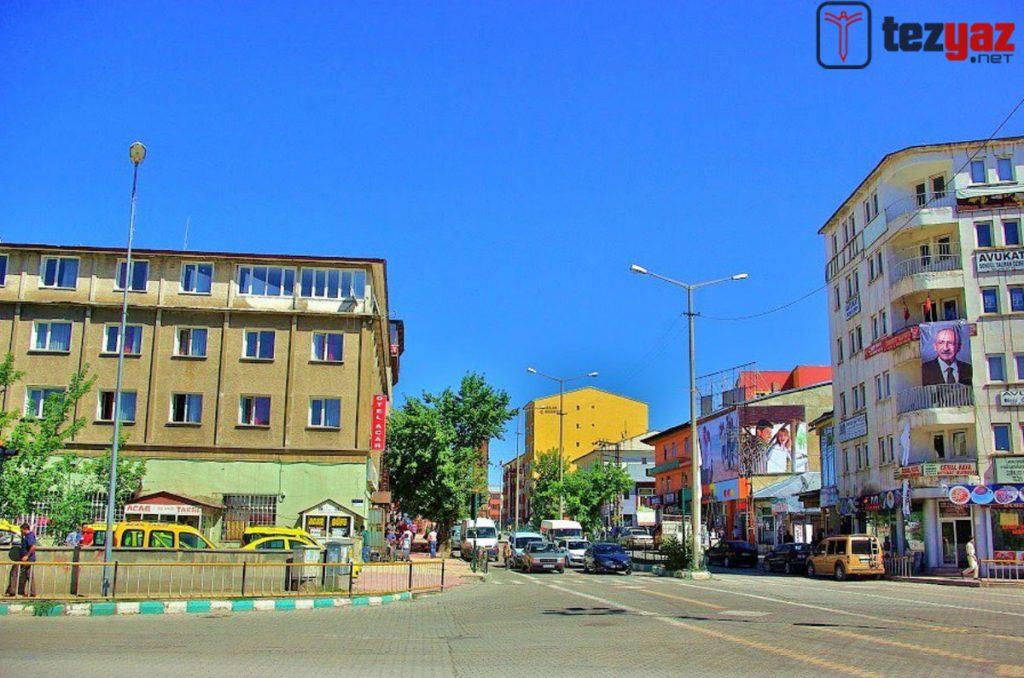 agri ucretli tez yazdirma