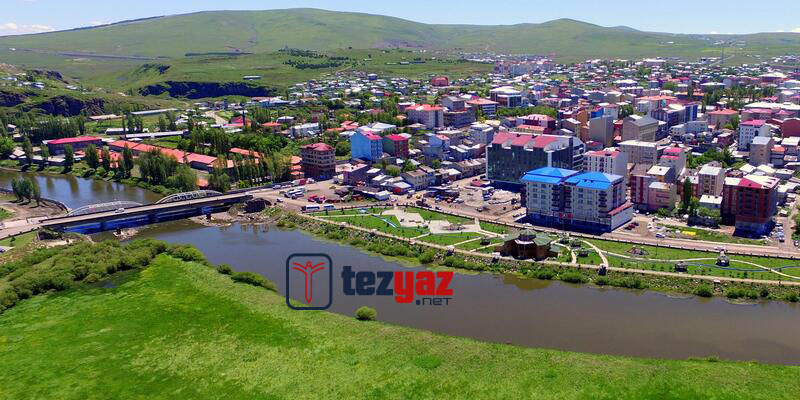 ardahan makale yazdirma