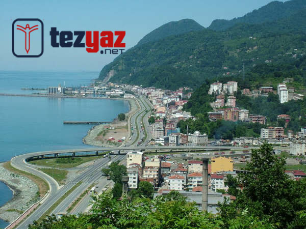 artvin odev yaptirma