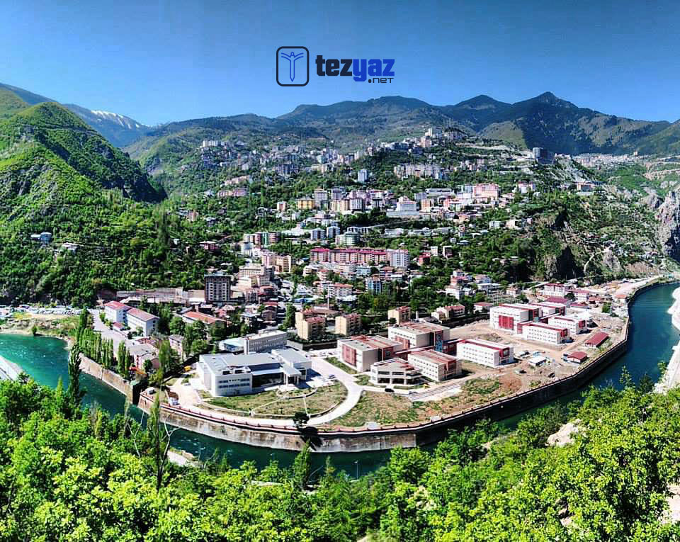 artvin tez yazdirma