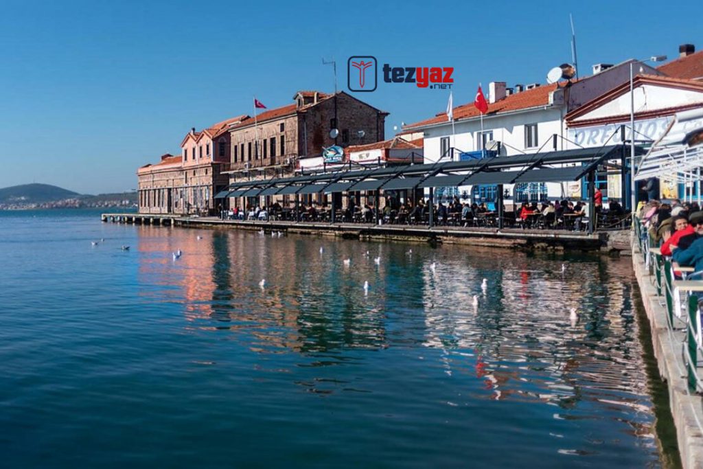 balikesir tez yazdirma