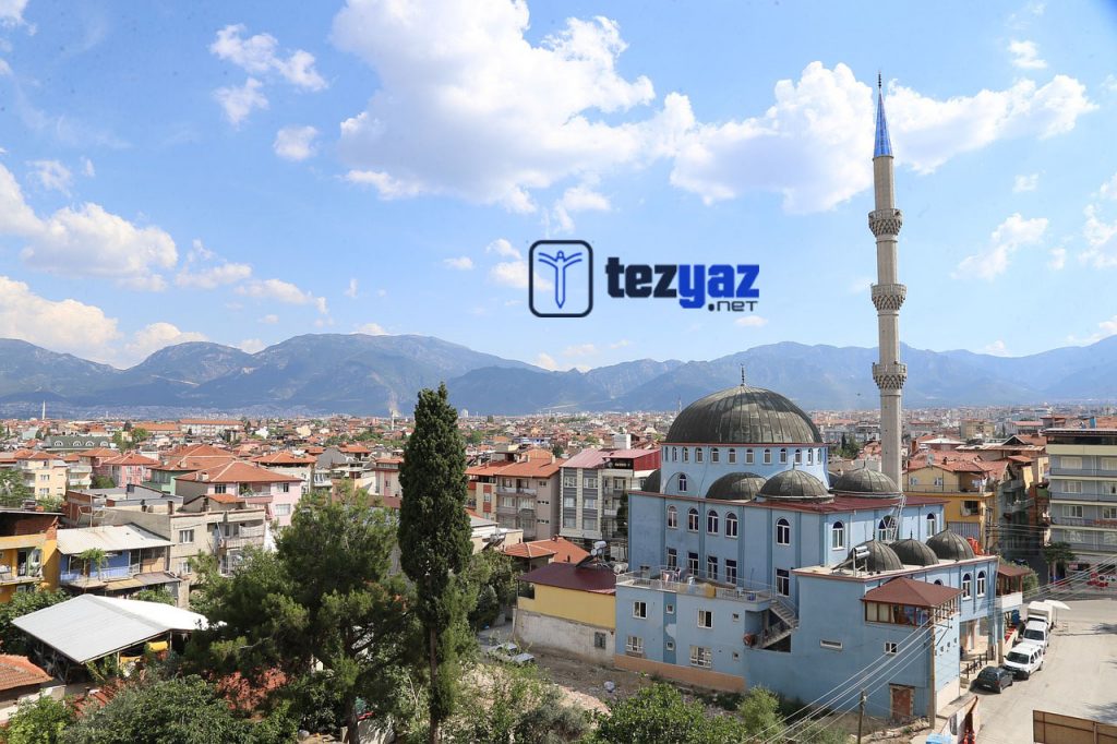 Denizli Odev Yaptirma