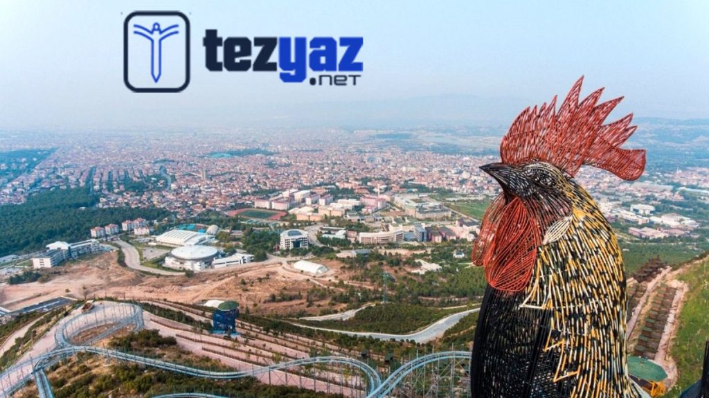 Denizli Tez Yazdirma