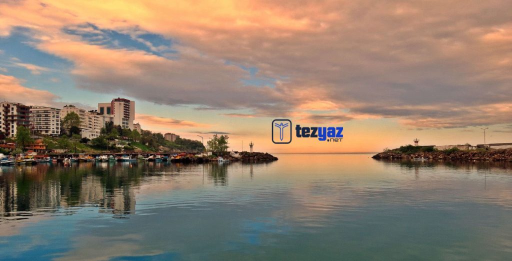 Duzce Makale Yazdirma