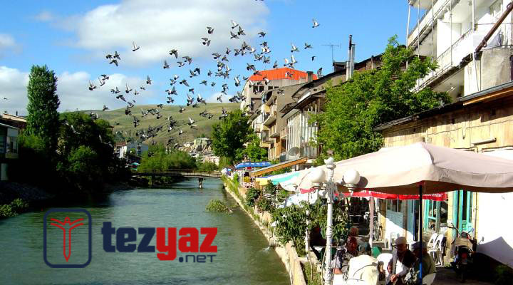 bayburt tez yazdirma