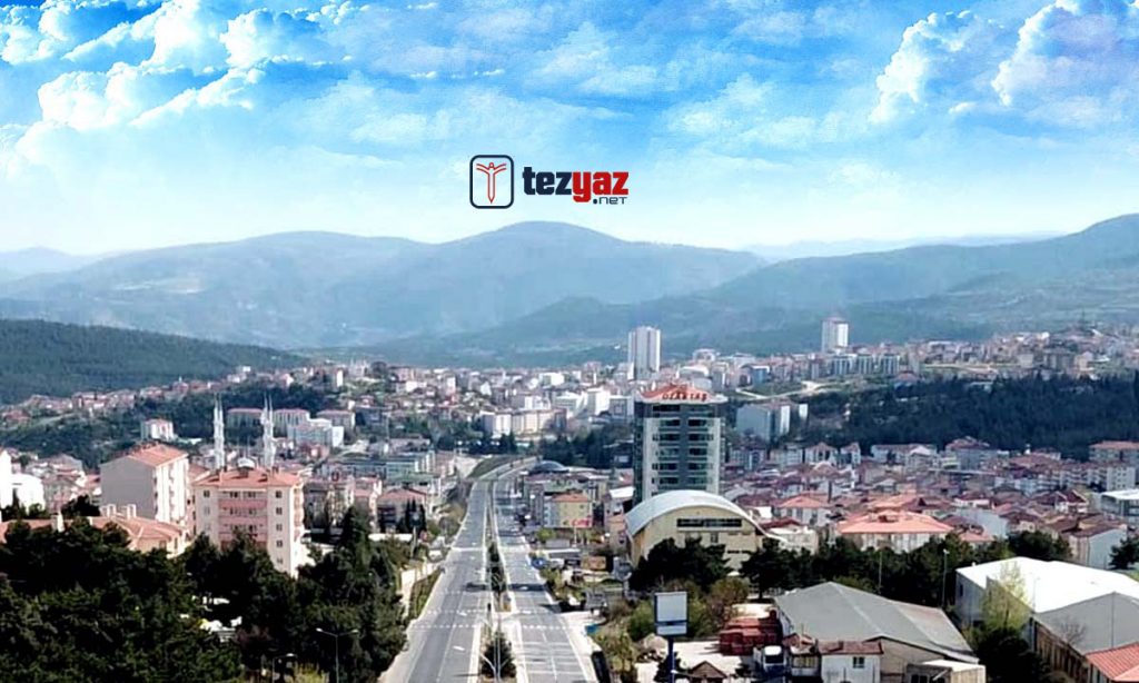 bilecik tez yazdirma