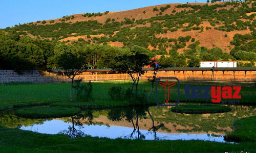 bingol makale yazdirma