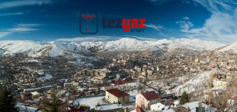bitlis tez yazdirma