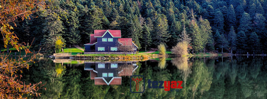 bolu makale yazdirma