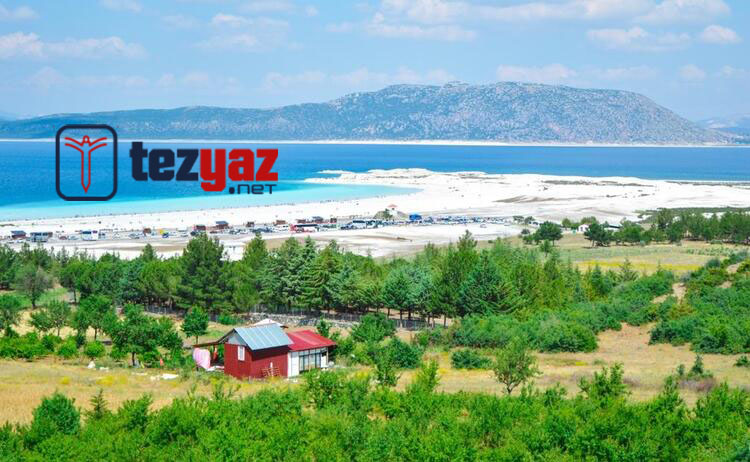 burdur tez yazdirma