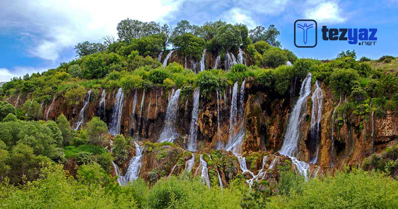 erzincan tez yazdirma