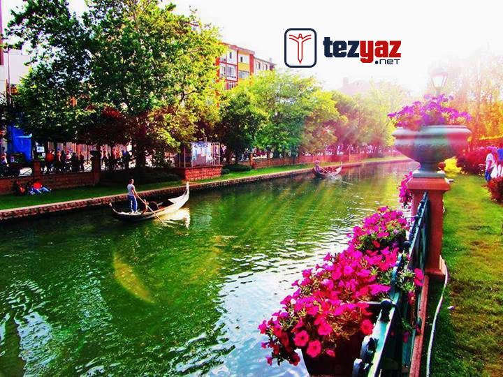 eskisehir makale yazdirma