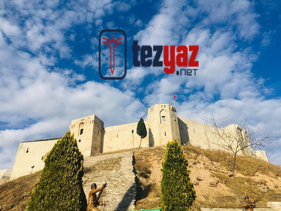 gaziantep tez yazdirma