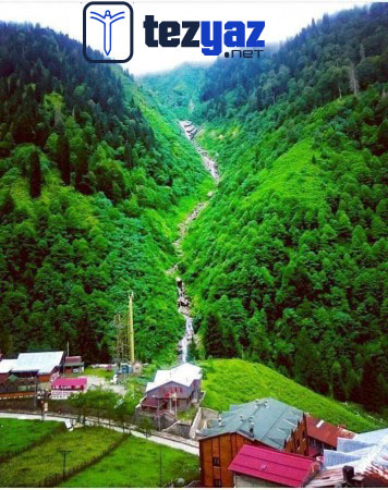 giresun tez yazdirma