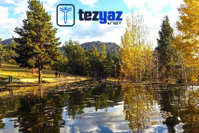 gumushane makale yazdirma