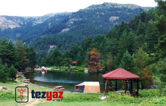 gumushane tez yazdirma