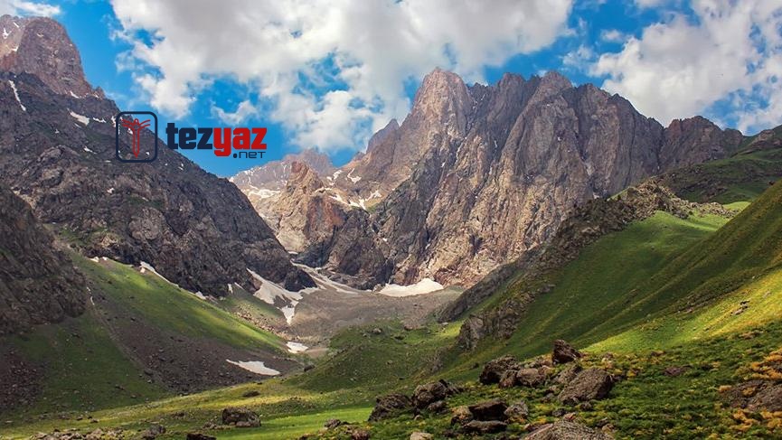 hakkari makale yazdirma