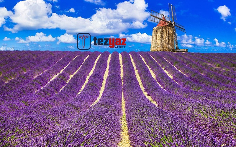 isparta odev yaptirma