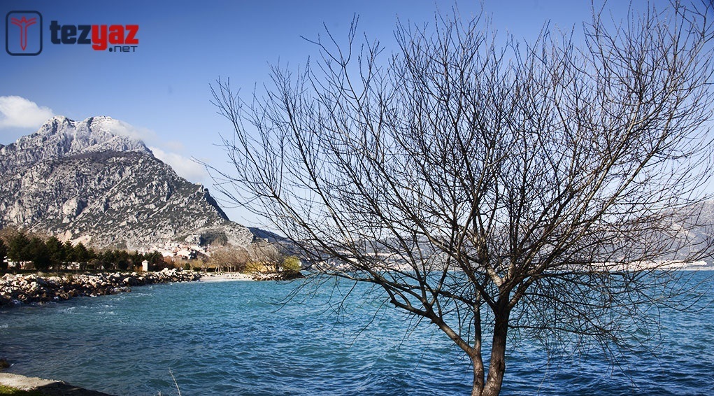 isparta tez yazdirma