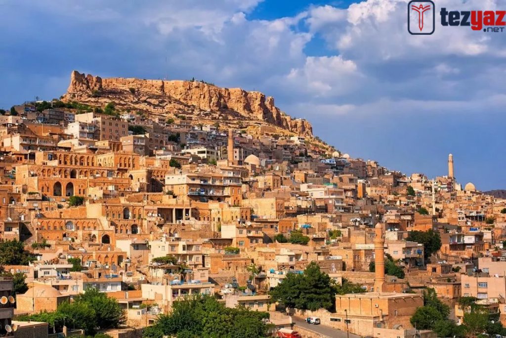 Mardin Tez Yazdırma