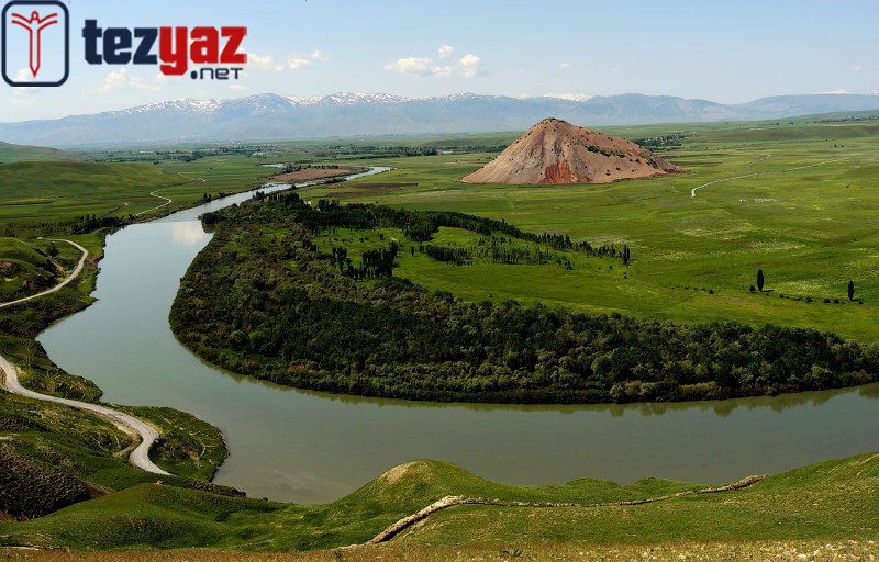 Muş Ödev Yaptırma