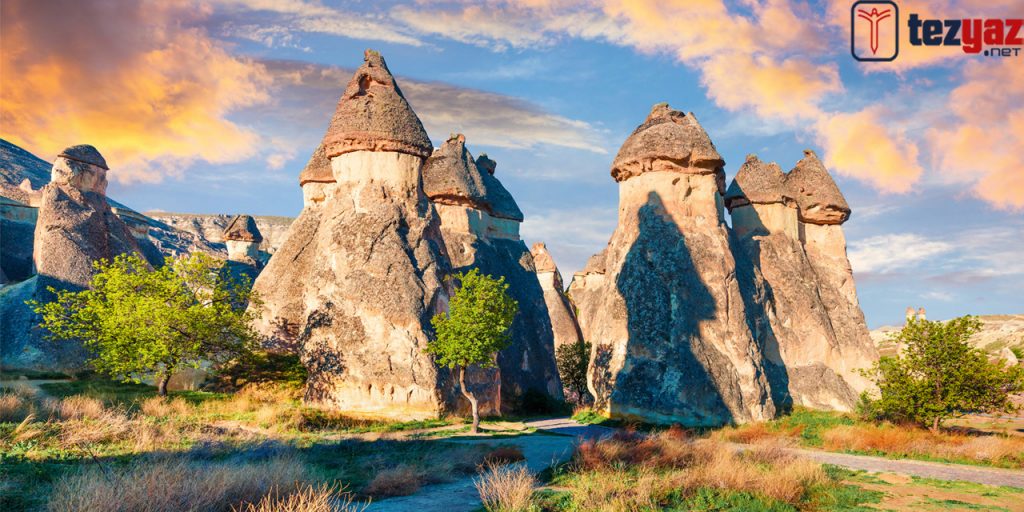 Nevşehir Ödev Yaptırma