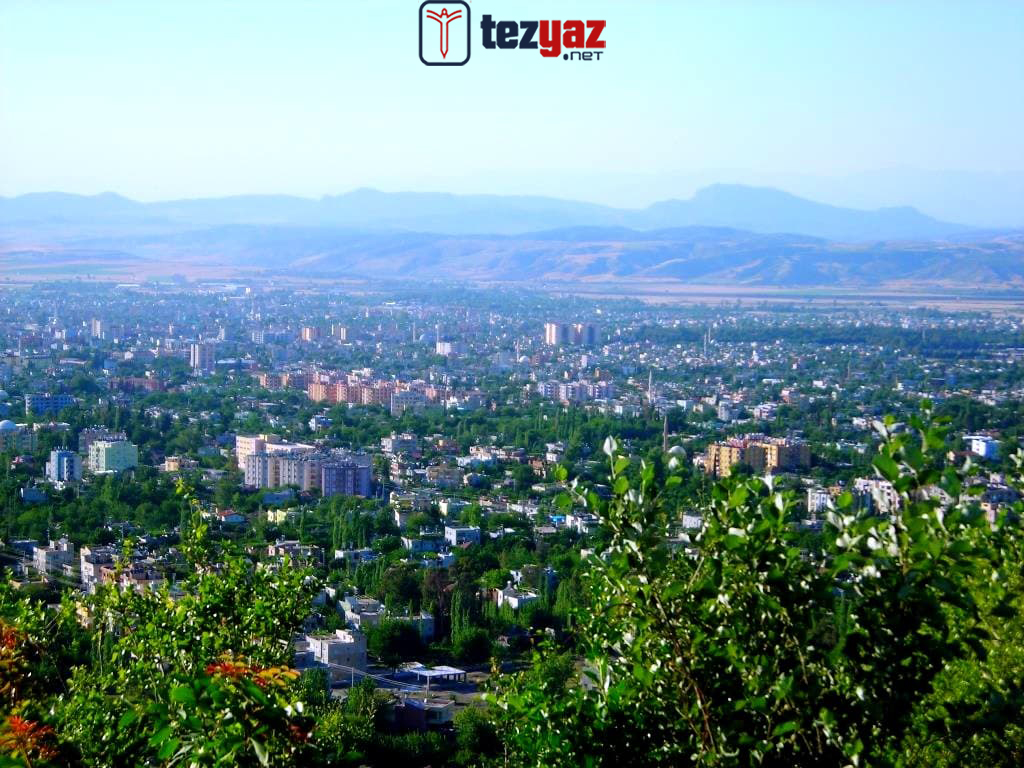 Osmaniye Tez Yazdırma