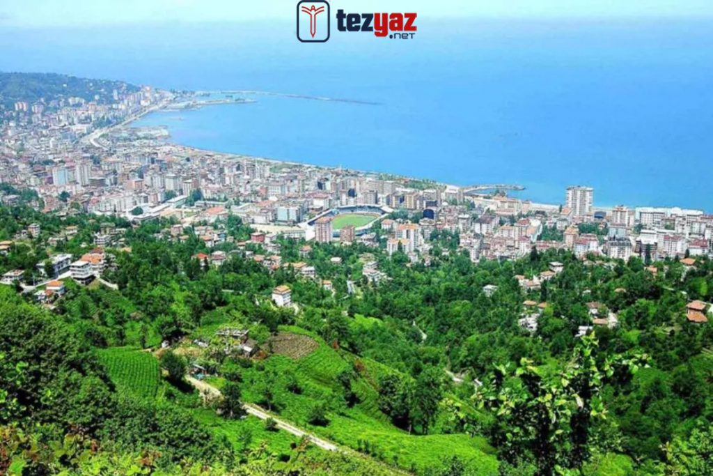 Rize Makale Yazdırma