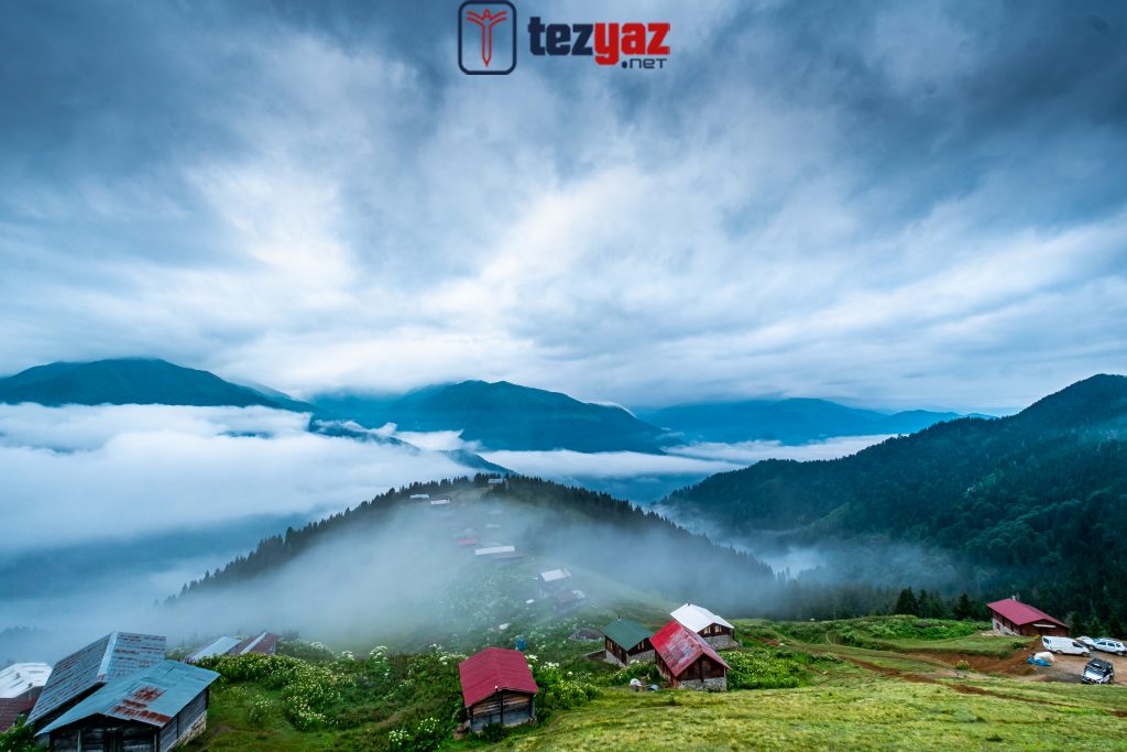 Rize Ödev Yaptırma