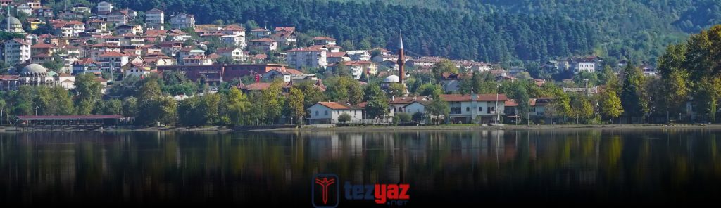 Sakarya Makale Yazdırma