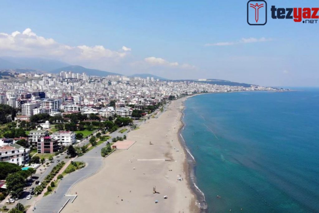 Samsun Makale Yazdırma