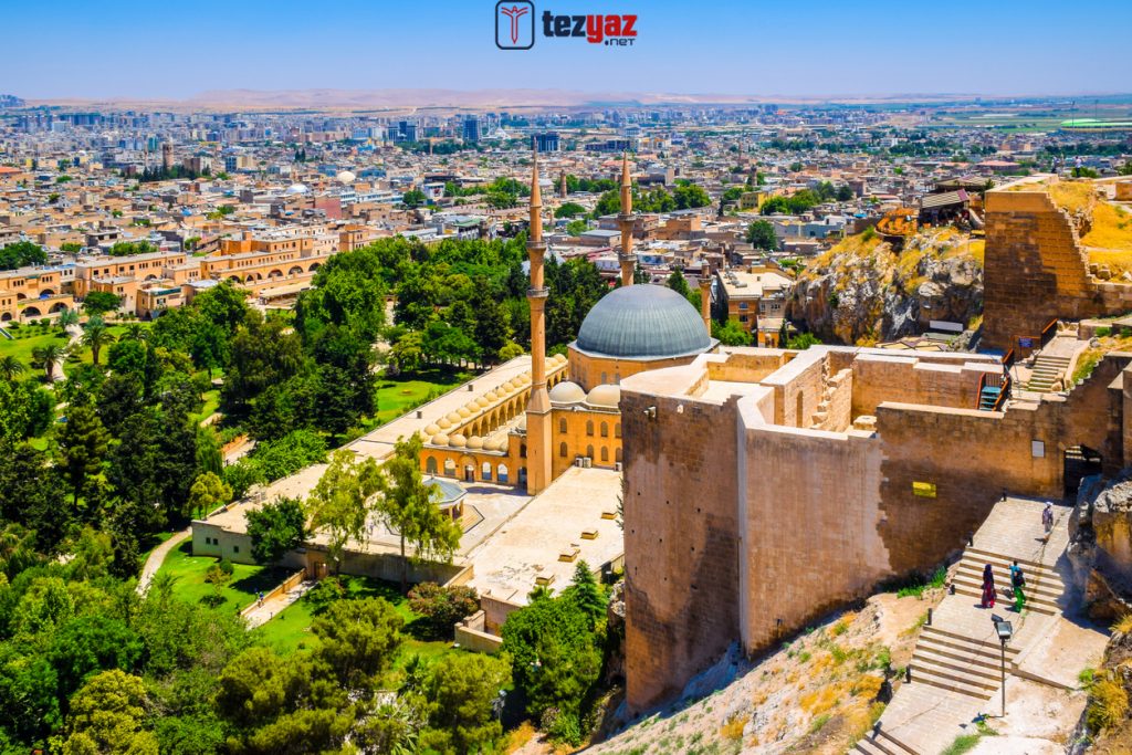 Şanlıurfa Tez Yazdırma