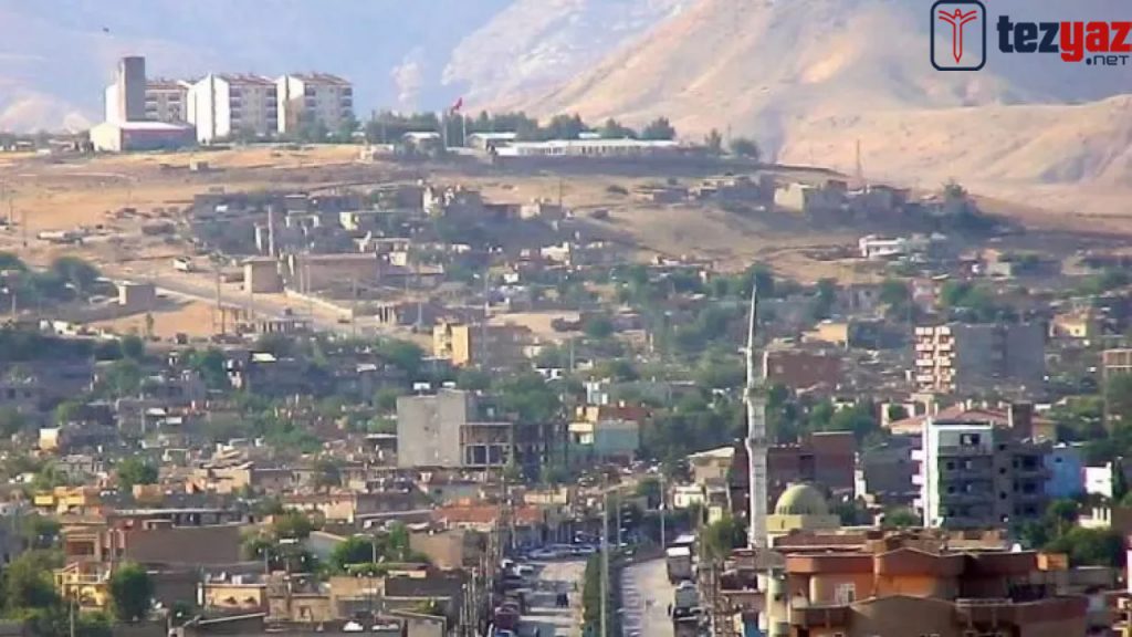 Şırnak Ödev Yaptırma