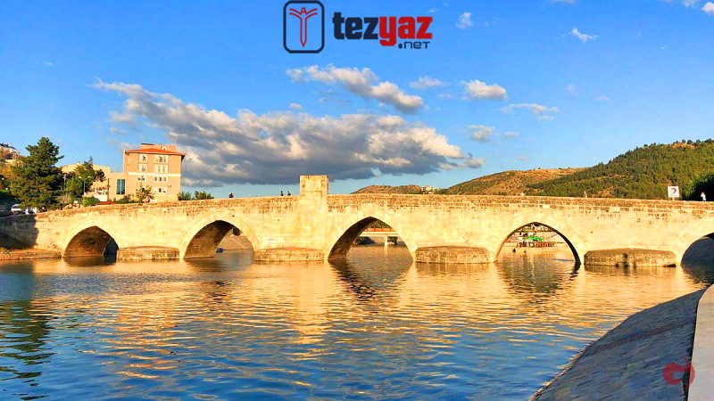Tokat Ödev Yaptırma