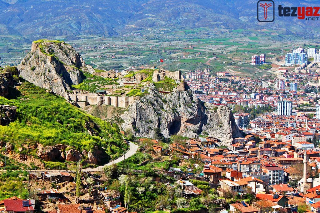 Tokat Tez Yazdırma