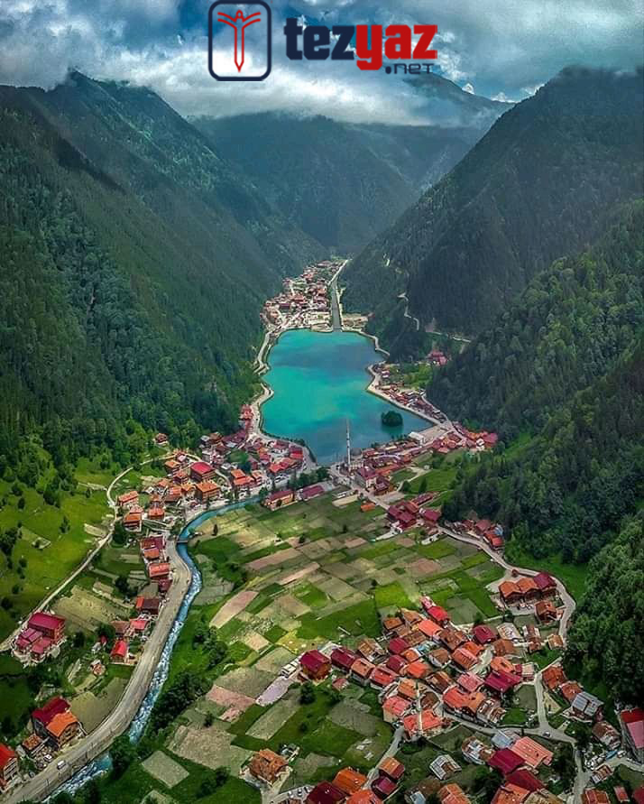 Trabzon Makale Yazdırma