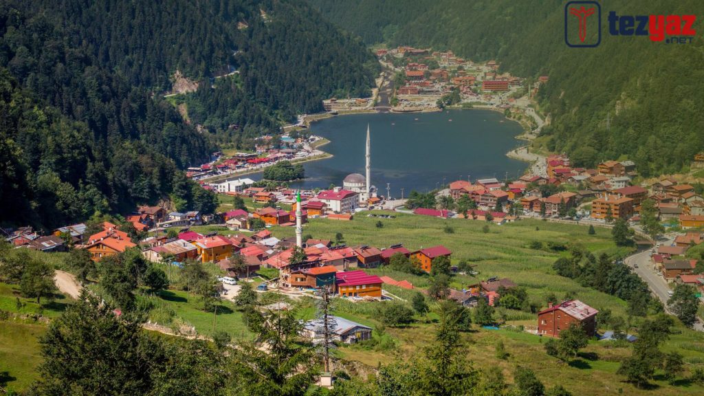 Trabzon Ödev Yaptırma