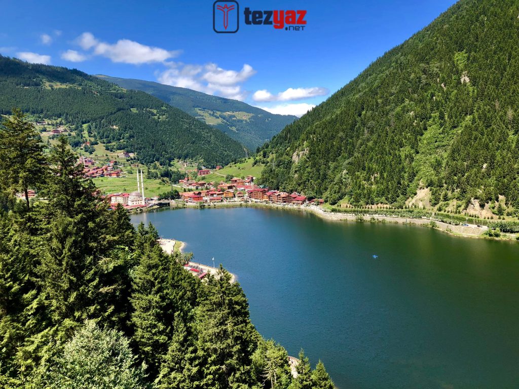 Trabzon Tez Yazdırma