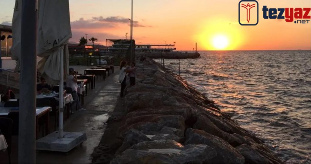 Yalova Makale Yazdırma