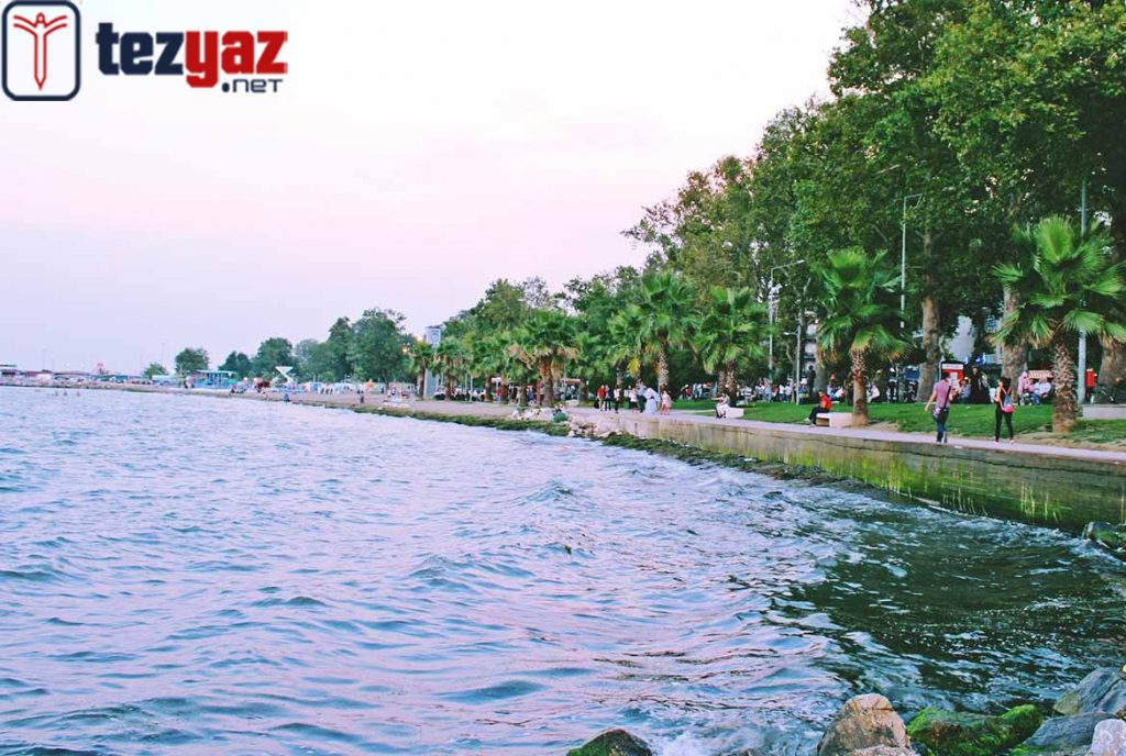 Yalova Tez Yazdırma