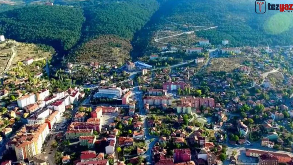 Yozgat Ödev Yaptırma