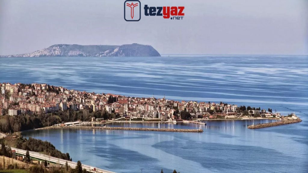 Sinop Makale Yazdırma