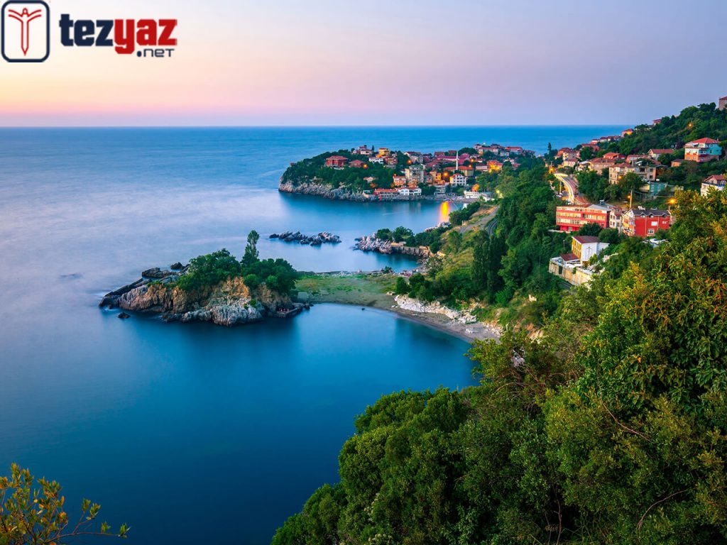 Zonguldak Tez Yazdırma