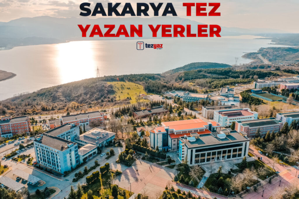Sakarya Tez Yazan Yerler
