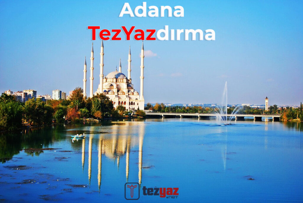 Adana Tez Yazma