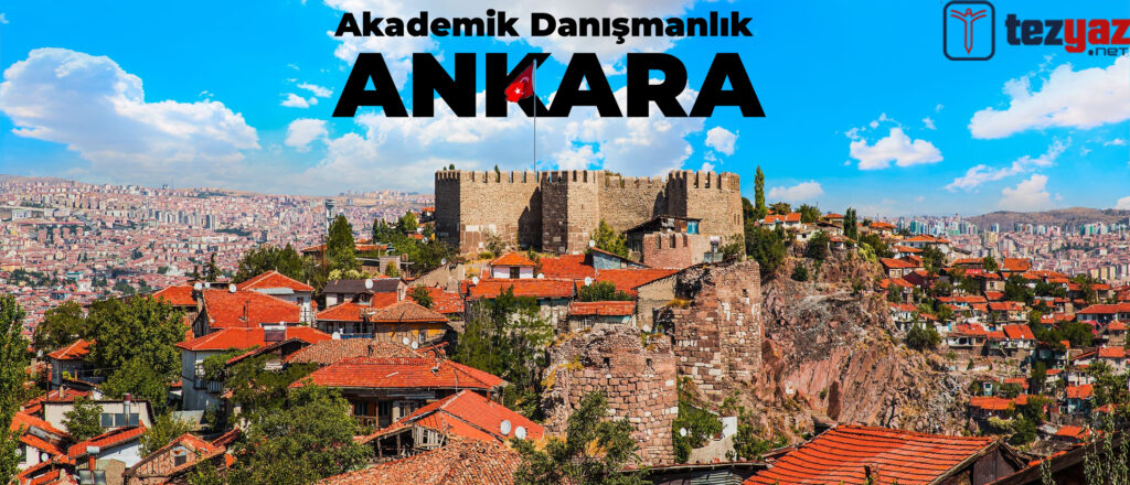 Akademik Danışmanlık Ankara