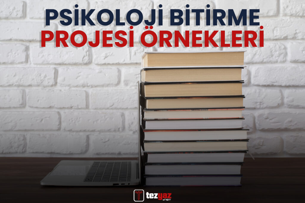 Psikoloji Bitirme Projesi Örnekleri